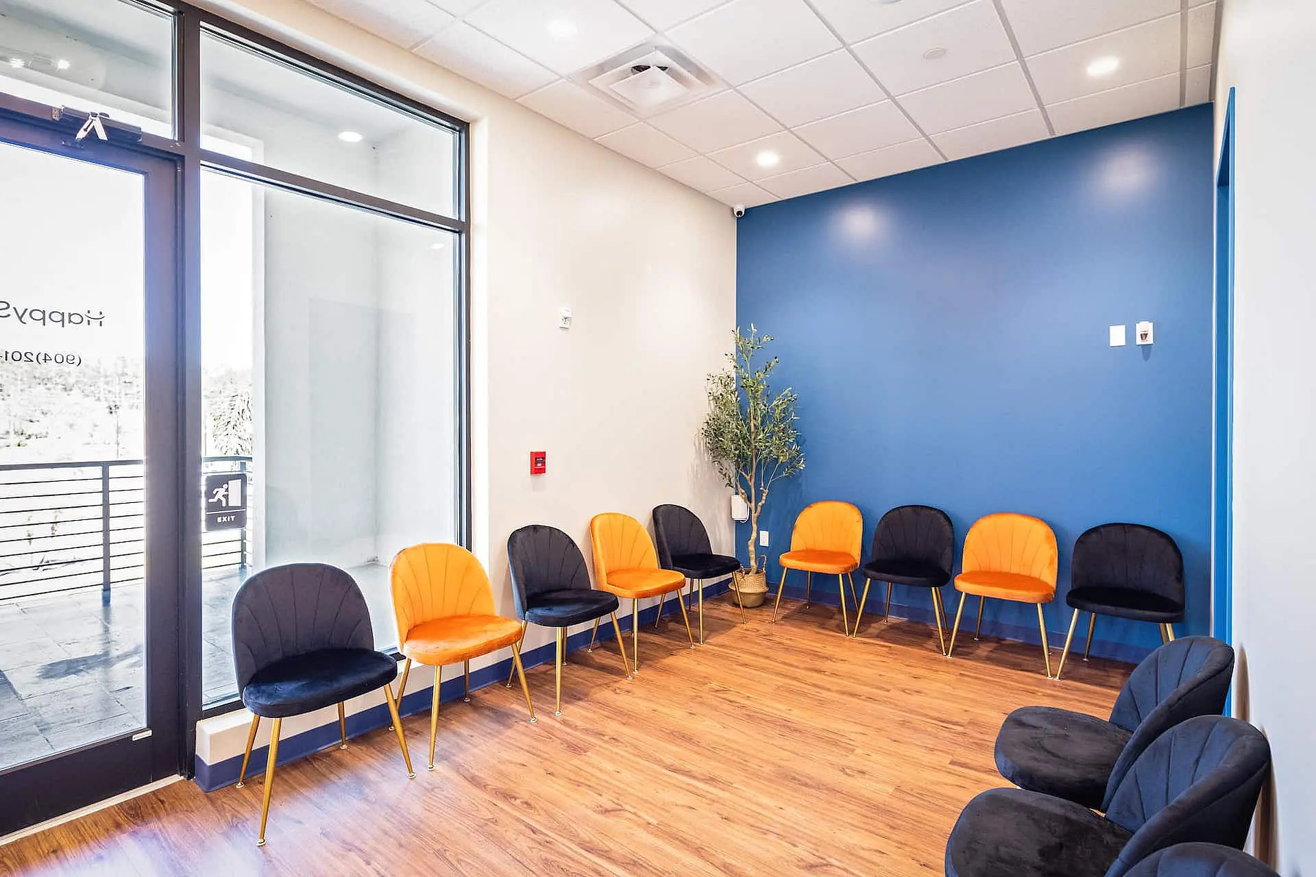 At Happy Smiles Orthodontics in St. Augustine, FL, adult orthodontics patients are welcomed by a waiting room featuring orange and black chairs along blue and white walls, wood flooring, a potted plant, and large windows that fill the space with natural light.
