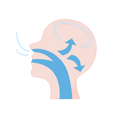 An illustration at Happy Smiles Orthodontics in St. Augustine, FL depicts a mouth breather's head in profile, highlighting airflow through the mouth and nasal passages with arrows pointing toward the brain.