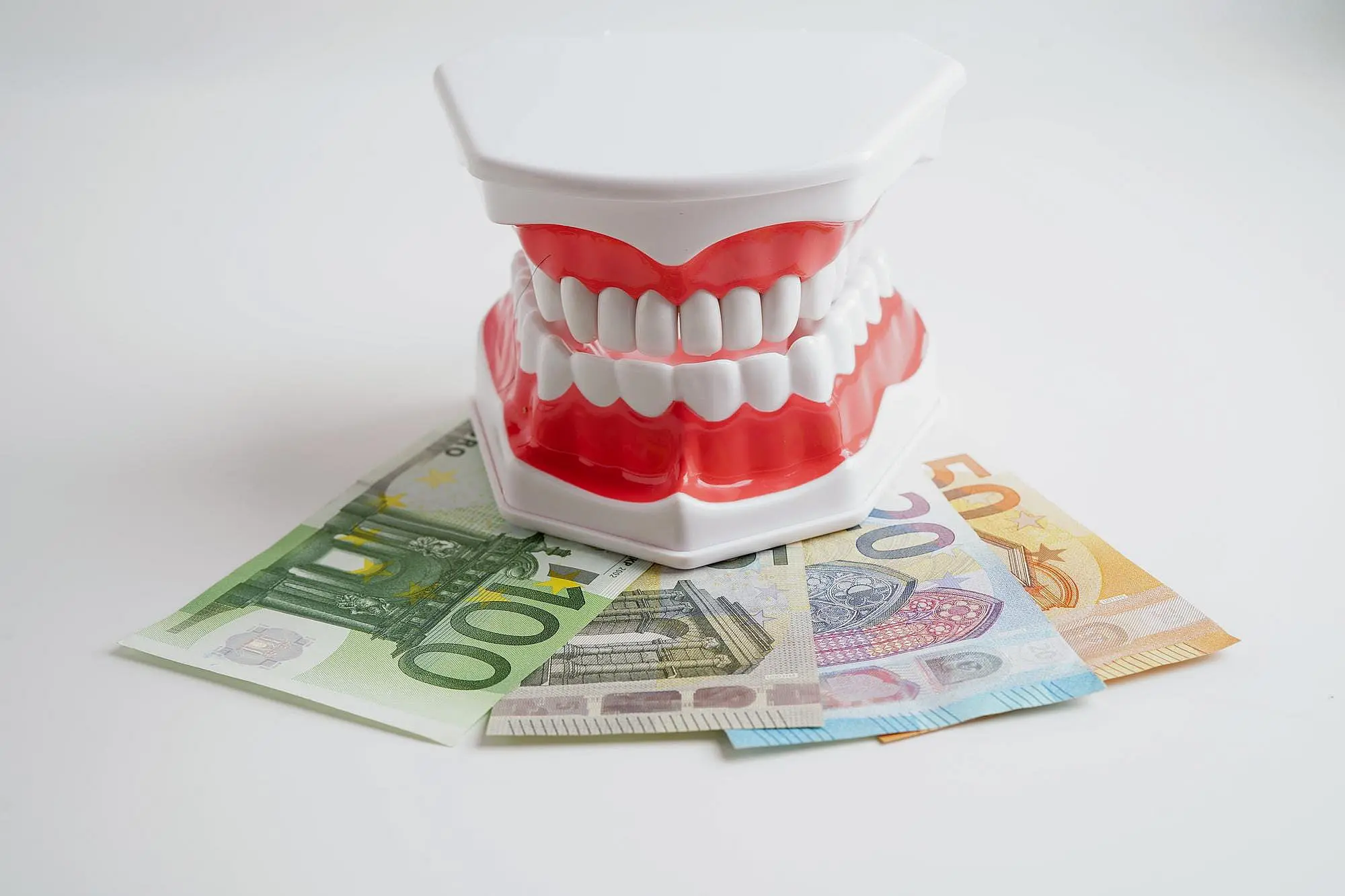 In St. Augustine, FL, Happy Smiles Orthodontics showcases a plastic model of human teeth resting on euro banknotes, representing costs covered by orthodontic insurance plans.