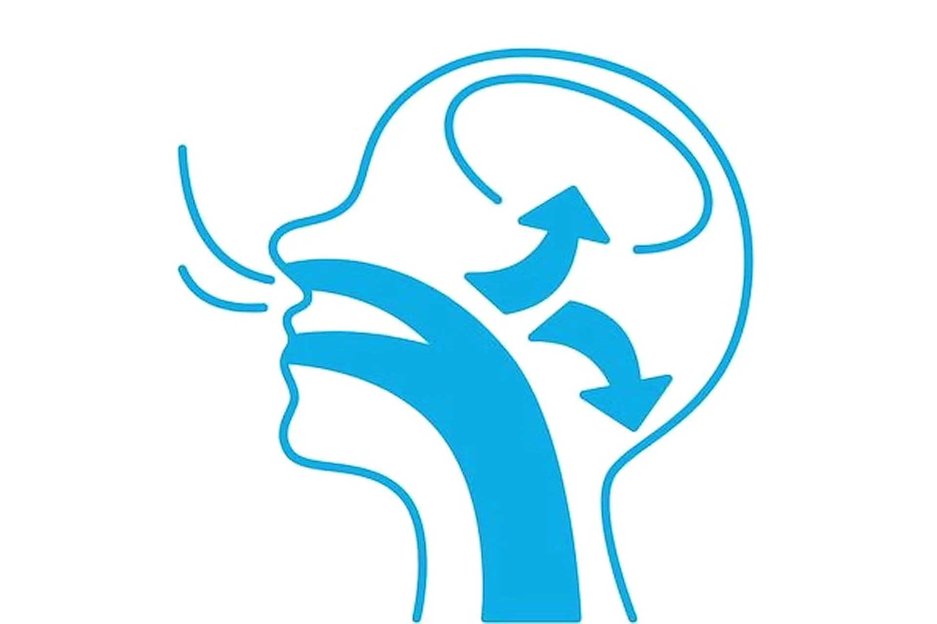 An illustration at Happy Smiles Orthodontics in St. Augustine, FL depicts a mouth breather's head in profile, highlighting airflow through the mouth and nasal passages with arrows pointing toward the brain.